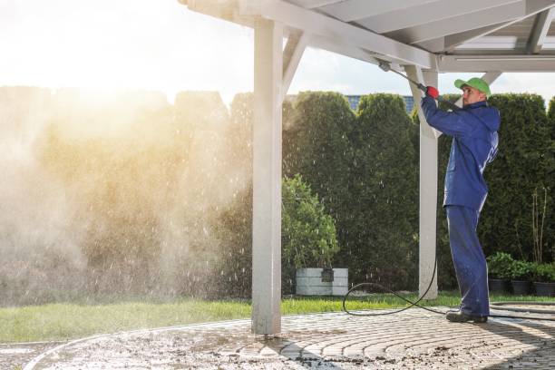 Best Roof Washing  in Paincourtville, LA