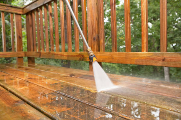 Best Animal Enclosure Cleaning  in Paincourtville, LA
